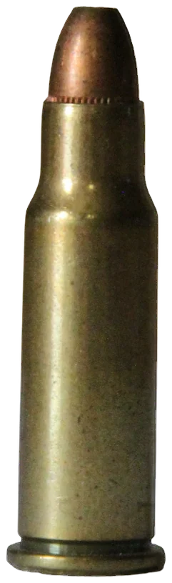 .256 Winchester Magnum