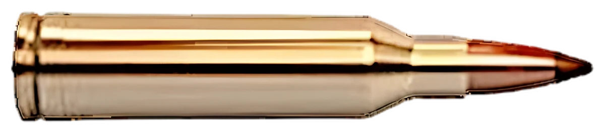 6.5mm Remington Magnum