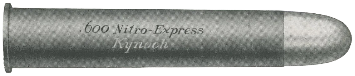 .600 Nitro Express