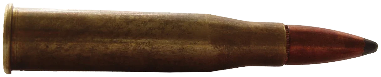 8×56mmR